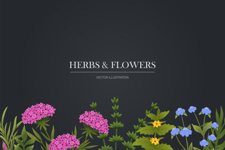 Hand drawn herbal plants banner. Luxury botanical background with trendy wildflowers and minimalist flowers for wall decoration or wedding.のイラスト素材