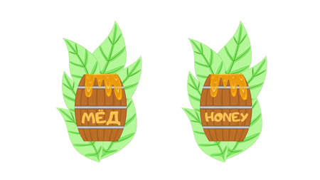 Honey in a barrel on a background of green leaves.のイラスト素材