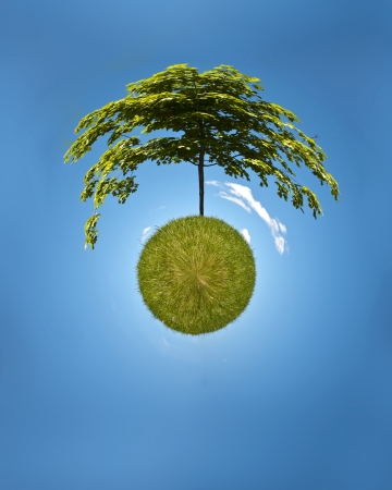 Digitally manipulated photograph of tree on a grassy lawn  Large tree grows out of the grassy sphere...