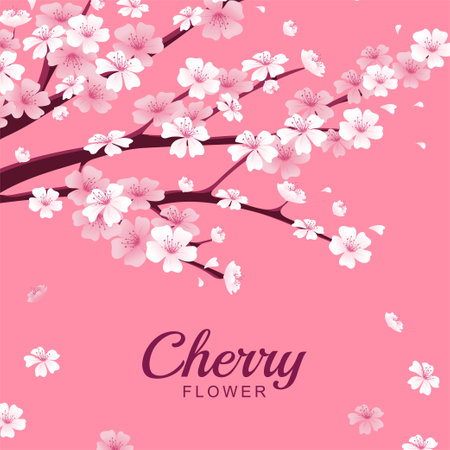 Cherry blossom background, beautiful Spring season Pink sakura flower vector illustrationのイラスト素材