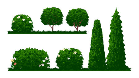 Bush and shrubs plants with flower for Backyard element collectionsのイラスト素材