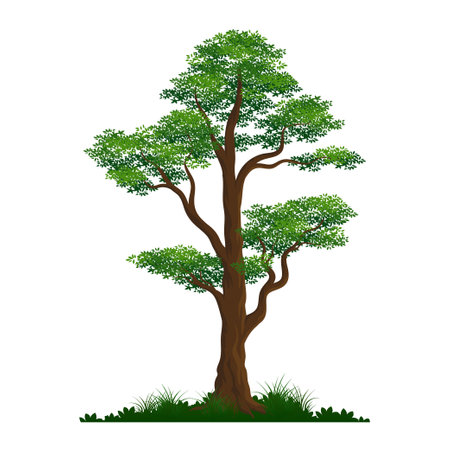 Tree with green grass vector illustrationのイラスト素材
