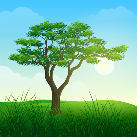 Lonely tree in sunrise with green grass cartoon illustrationのイラスト素材