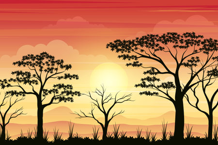 Sunset in African savanna vector backgroundのイラスト素材