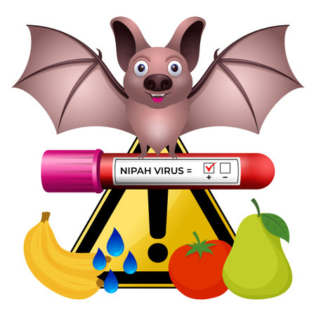 Nipah virus (niv), transmitted by bats and fruit causes severe disease in both animals and humans.のイラスト素材