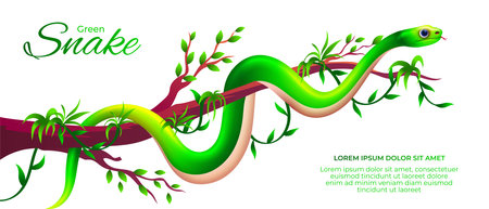 Cartoon green snake on branch of tree vector illustrationのイラスト素材