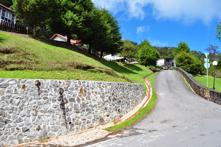 Village Forest Roadの写真素材