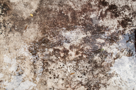 Yellow Grunge Wall Texture and Wateryの写真素材