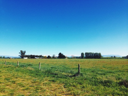 Apple orchard agriculture work