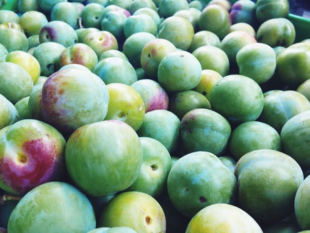 Greengages fruitの素材