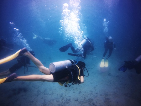 Scuba diversの素材