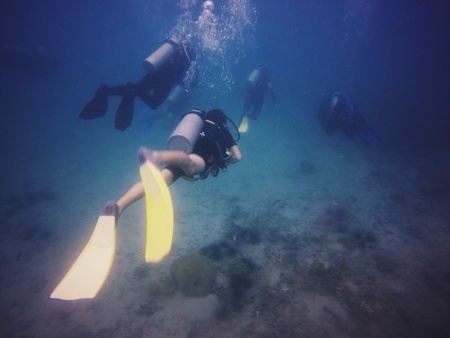 Scuba diversの素材