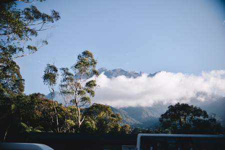Nature Tree Parkの写真素材