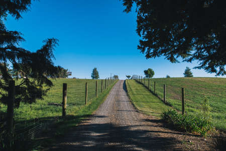 Big greenfield land at blue clear skyの写真素材