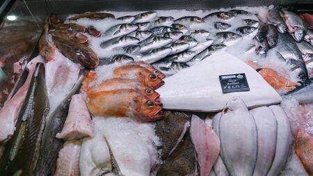 Large selection of fresh fish lying in ice on a supermarket counter with price in Euro. Close up.の写真素材