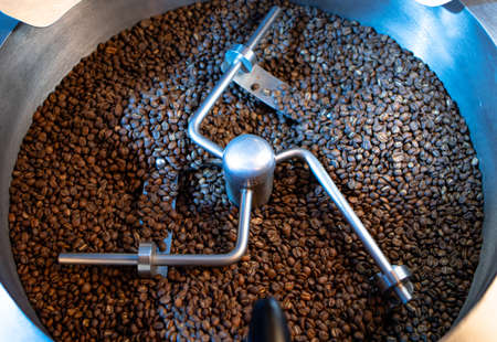 Production of freshly roasted coffee beans. Industrial mixing machine for mixes roasted coffee beans...
