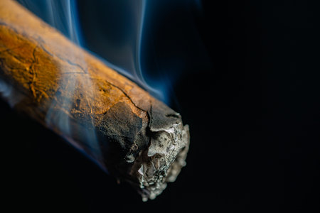 Smoking cuban cigar with blue smoke on an isolated black background. A Havana cigar burns and emits smoke in a dark bar. A rolled cigarette made from tobacco leaves. Macro shot of a burning cigar.の写真素材
