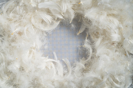 White fluffy bird feathers with round copy space, workspace, mockup and white round frame place. Light textural background of chicken, duck feathers or swan fluff. Pattern of white soft fluffy feathers close up. Top viewの写真素材