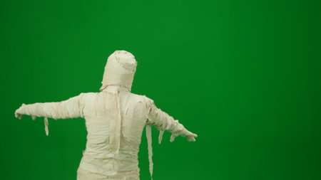 Green screen isolated chroma key back view photo capturing a mummy outstretching its arms and as if its trying to scare. Medium sizeの写真素材
