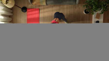 Top view capturing a young woman doing her morning exercise using an exercise ball in front of the...