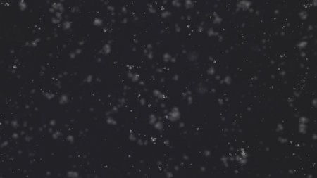 Winter fluffy snow falls on a black background. Overlay effectの写真素材