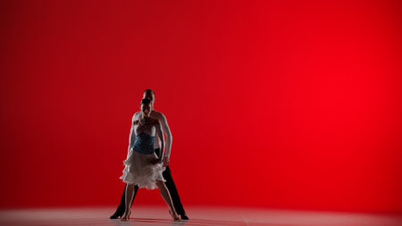Elegant Ballroom Dance Couple on a red backgroundの写真素材