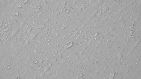 Rain drops on glass. Lots of shiny water droplets on white studio background. Water pattern of various water spots and drops.の写真素材