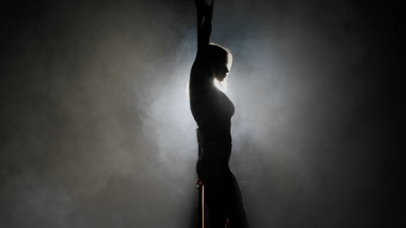 Portrait of young female dancer in the studio. Professional pole dancer girl silhouette dancing...