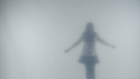 The silhouette of a woman dancing and twirling in the mist behind a frosted glass or curtain....