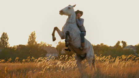 Man in cowboy costume training a horse at sunset.の写真素材