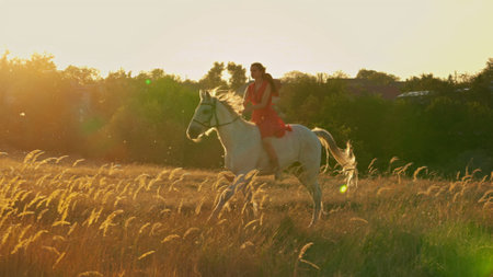Horsewoman in casual clothes at sunset on horseback.の写真素材