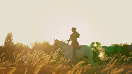 Horsewoman in casual clothes at sunset on horseback.の写真素材