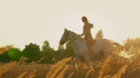 Horsewoman in casual clothes at sunset on horseback.の写真素材