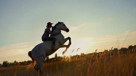 Man in cowboy costume training a horse at sunset.の写真素材