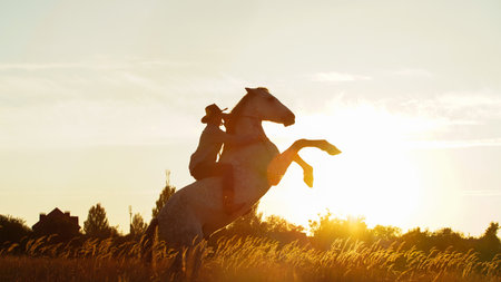 The silhouette of a man in cowboy costume training a horse at sunset.の写真素材