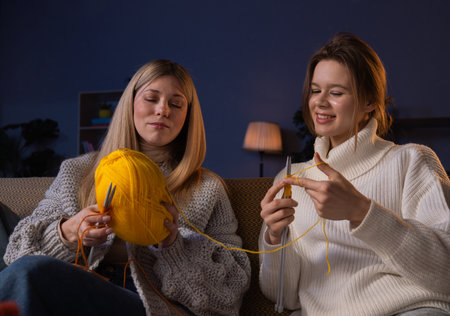 Two female friends spending evening at home with hobby crafting, sit on sofa and knitting using yarn...