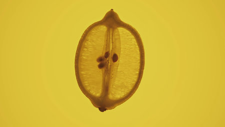 Translucent Citrus Slice on Yellow Background Artworkの写真素材