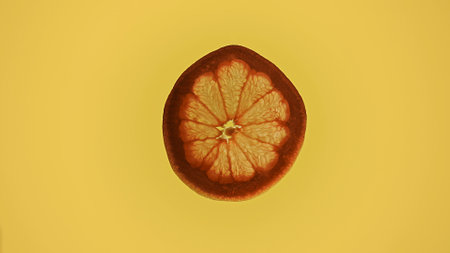 Bright Citrus Slice on a Vibrant Yellow Background