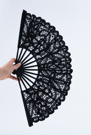 Elegant Black Lace Hand Fan with Intricate Design