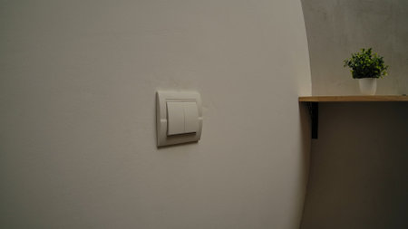 Modern White Double Electrical Wall Switch in Home