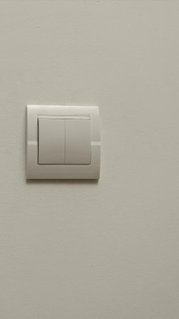 Modern White Double Electrical Wall Switch in Home