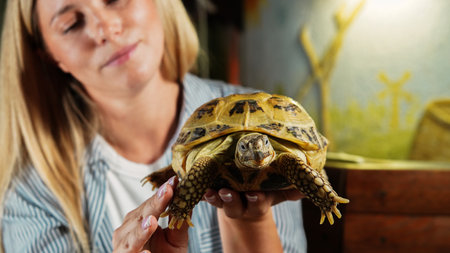 Woman Holding a Tortoise Close-Upの写真素材