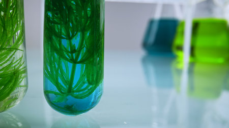 Test tubes with green plant samples and colorful chemical flasks in laboratory