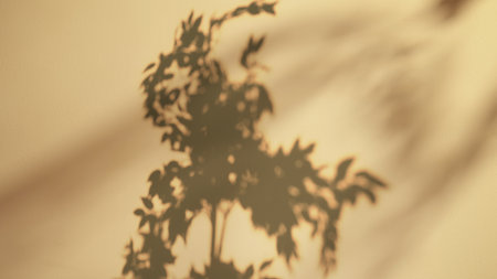 Abstract Silhouette of Plant Shadow on a Beige Backgroundの写真素材