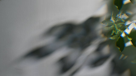 Abstract Shadow and Light on Textured White Wall