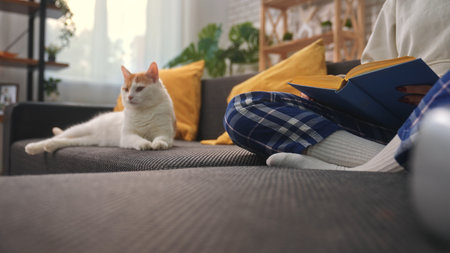 Woman reading book on sofa while cat walks behind herの写真素材