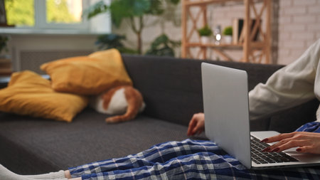 Woman working on laptop with cat relaxing in backgroundの写真素材