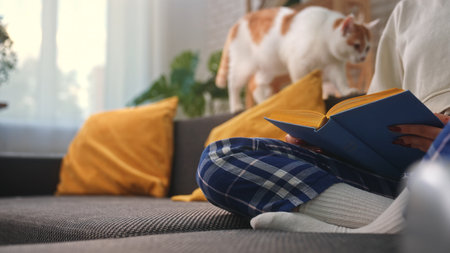 Woman reading book on sofa while cat walks behind herの写真素材