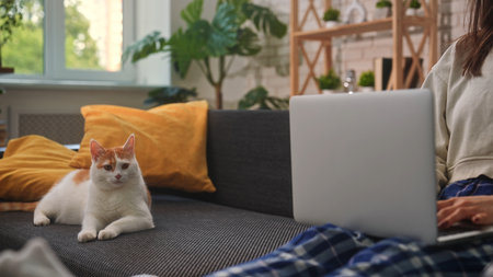 Woman working on laptop with cat relaxing in backgroundの写真素材