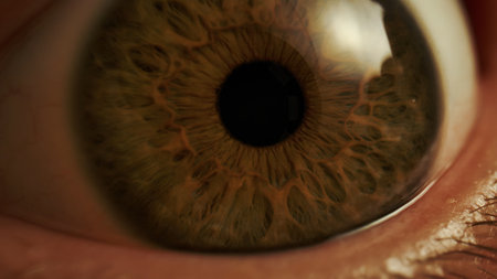 Macro shot of human brown eye with visible iris texture